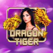 Dragon Tiger gamezone app games