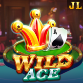 Wild Ace gamezone app related icon